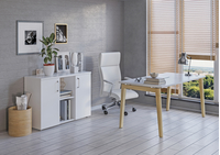 Кабинет Onix wood Direct