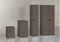 Металлическая Рива - прочная основа офиса