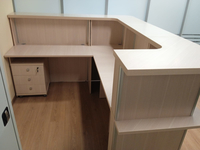 Ресепшн Vasanta