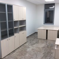 Сономедика