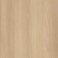 Акация Лорка