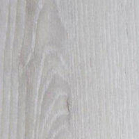 Дуб пепельный