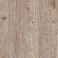 Дуб сантана-белый