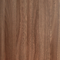 Темный Шимо