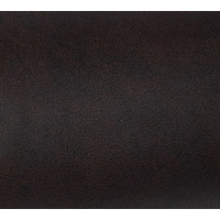 Кресло руководителя  Н Боттичелли, Кожа: Кожа темно-коричневая