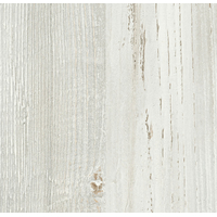 Сосна Винтер