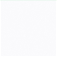 Белый Бриллиант