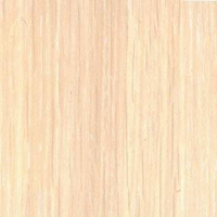 Дуб молочный (под заказ)