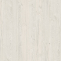 Дуб Наварра