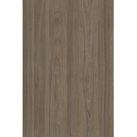 Вяз Благородный