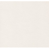 Кресло руководителя Хьюго RCH 6003-1SE, Экокожа: Белый