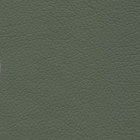 Кресло руководителя Хьюго RCH 6003-1SE, Экокожа: Зеленый