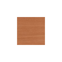 Бук баварский (под заказ)