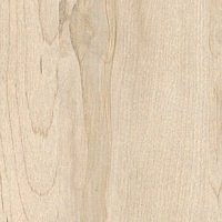 Береза (под заказ)