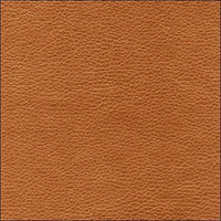 Rhodes 0454 бронза