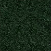 Rhodes 0470 зеленый