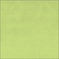 Santorini 0406 фисташковый