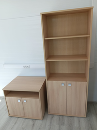 Оперативка Style