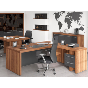 Кабинет Zenn - классика в новом обличии