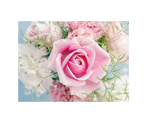 Весна идет!