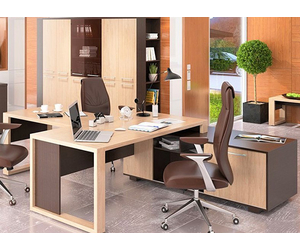 Новый кабинет Аlto