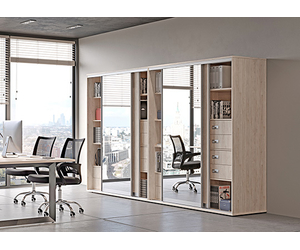 Шкафы-купе для офисных интерьеров