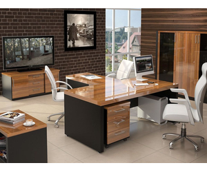 Скидка 25 % на кабинет и переговорную Верона