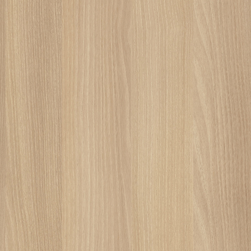 Акация Лорка