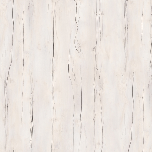 Таксония Айвори