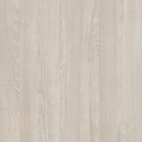 Акация Морава