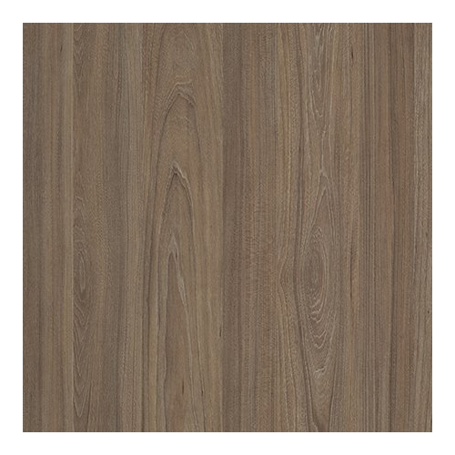 Вяз благородный темный