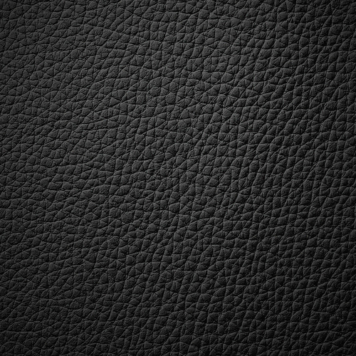 Кресло руководителя Ergo, Кожа: Черный