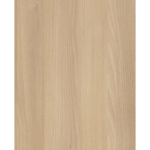 Акация Лорка