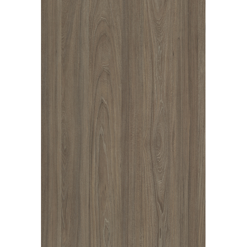 Вяз Благородный