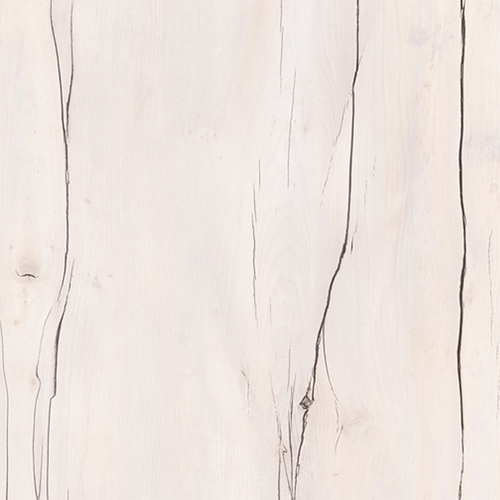 Таксония светлая