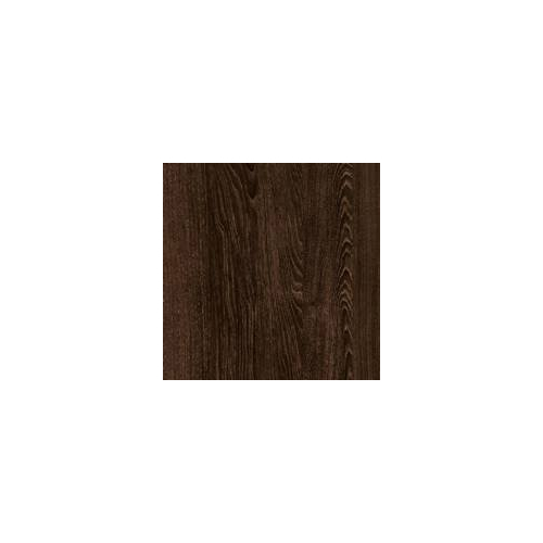 Дуб Кентербери