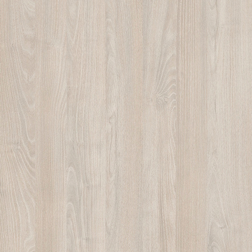 Акация Морава