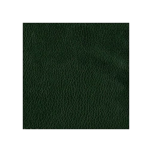 Rhodes 0470 зеленый