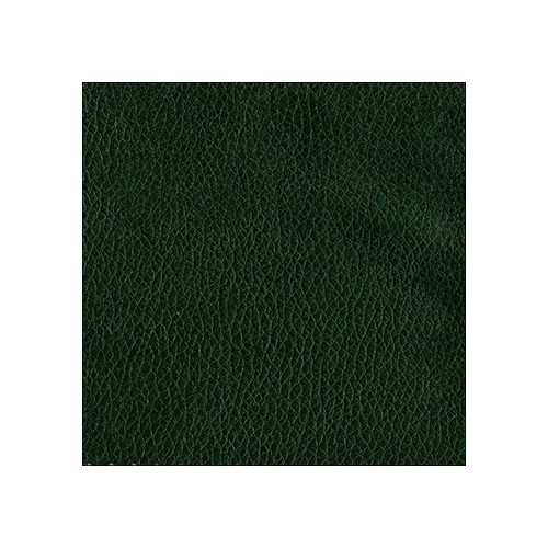 Rhodes 0470 зеленый