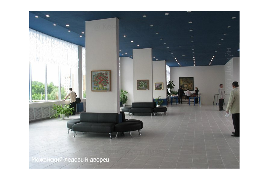 Можайский Ледовый дворец