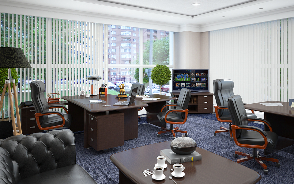 Кабинет руководителя Сенат, изображение 2