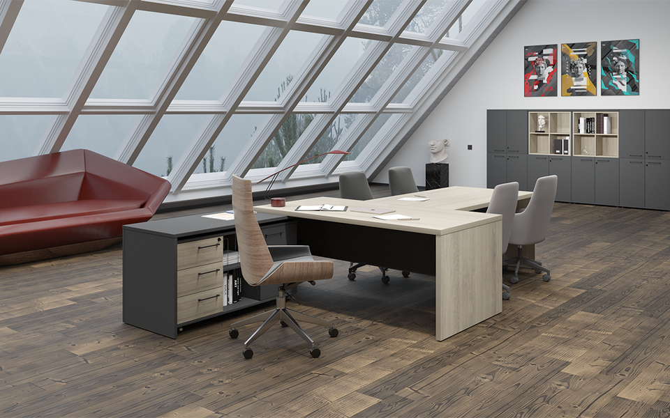 Кабинет руководителя Kortez